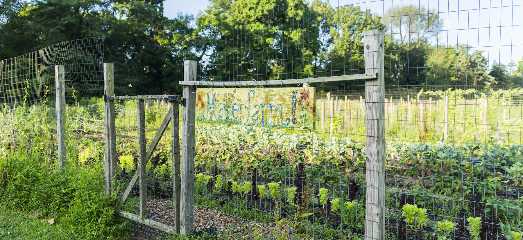 Haverfarm sign