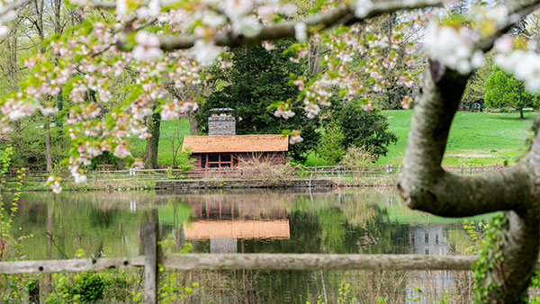 Skating house in spring across the pond