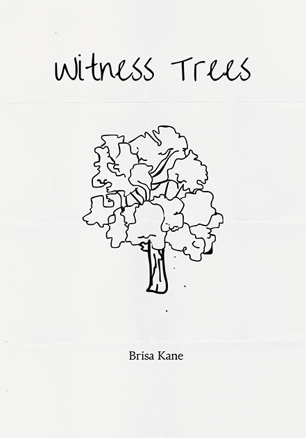 Brisa Kane '25 Zine project pdf