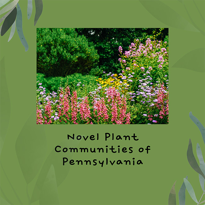 Novel Plant Communities pdf