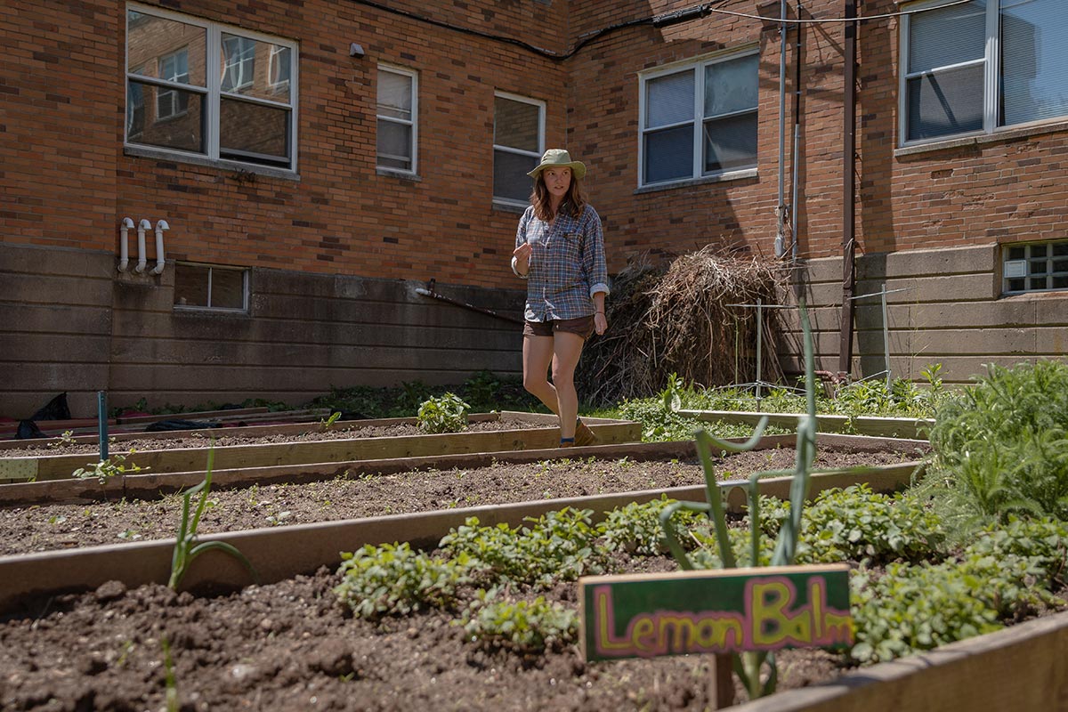 a patch of garden outside of HCA