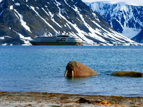 Alumni Travel Program - Arctic Voyage