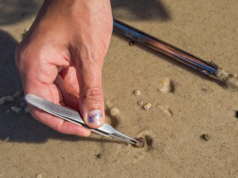 a hand uses tweezers to pick debris out of sand