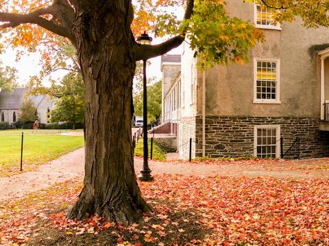 Fall foliage on Haverford College's campus