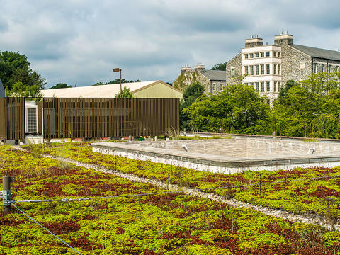 Plants and gravel are pictured in the green roofs that adorn Kim and Tritton halls on Haverford's campus. There is a cloud sky and other campus buildings are pictured in the background.