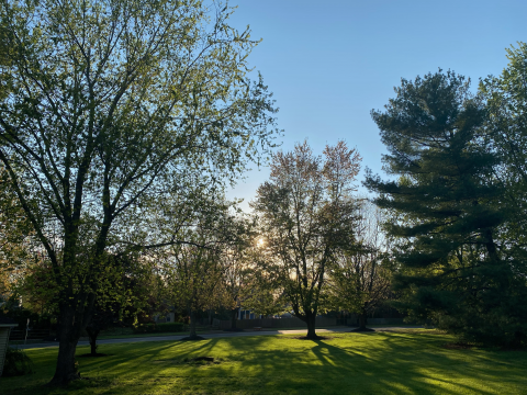 Arboretum | Haverford College