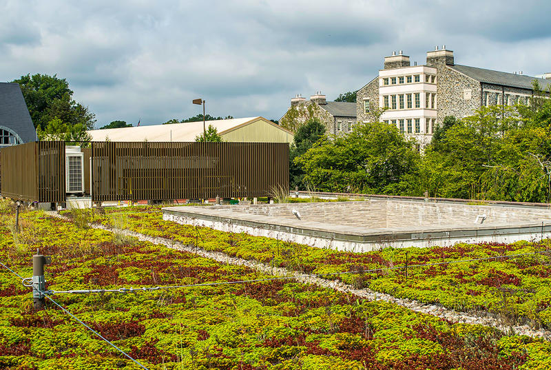 Plants and gravel are pictured in the green roofs that adorn Kim and Tritton halls on Haverford's campus. There is a cloud sky and other campus buildings are pictured in the background.