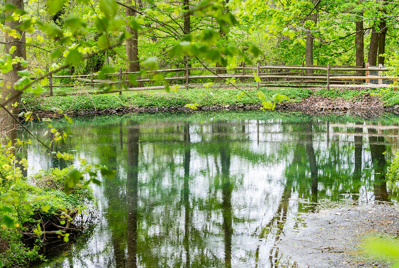 A picture of the upper duck pond shows trees reflected in the water there.