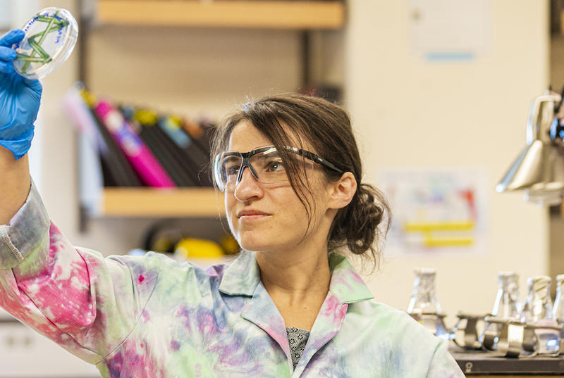 Professor Lou Charkoudian holds a petri dish in the air in her lab. She wears a tie-dyed lab coat and safety glasses.