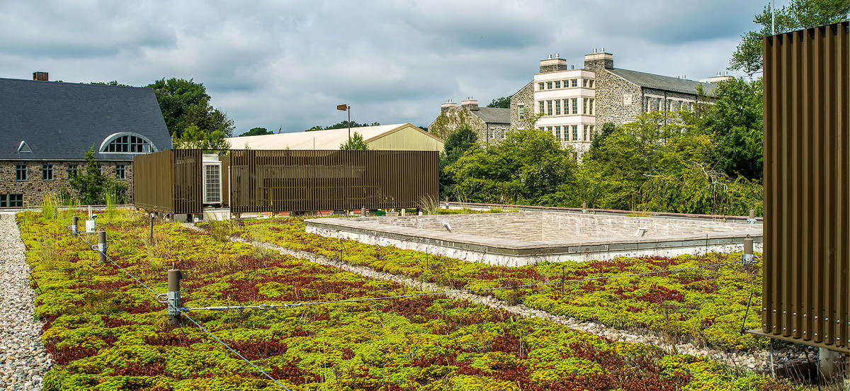 Plants and gravel are pictured in the green roofs that adorn Kim and Tritton halls on Haverford's campus. There is a cloud sky and other campus buildings are pictured in the background.