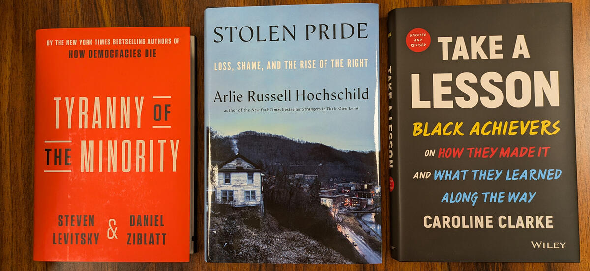 Three book covers: Tyranny of the Minority, with black and white text on a red background; Stolen Pride, featuring a photo of a run down house in winter; and Take a Lesson, featuring white, yellow, red, and blue text on a black background.